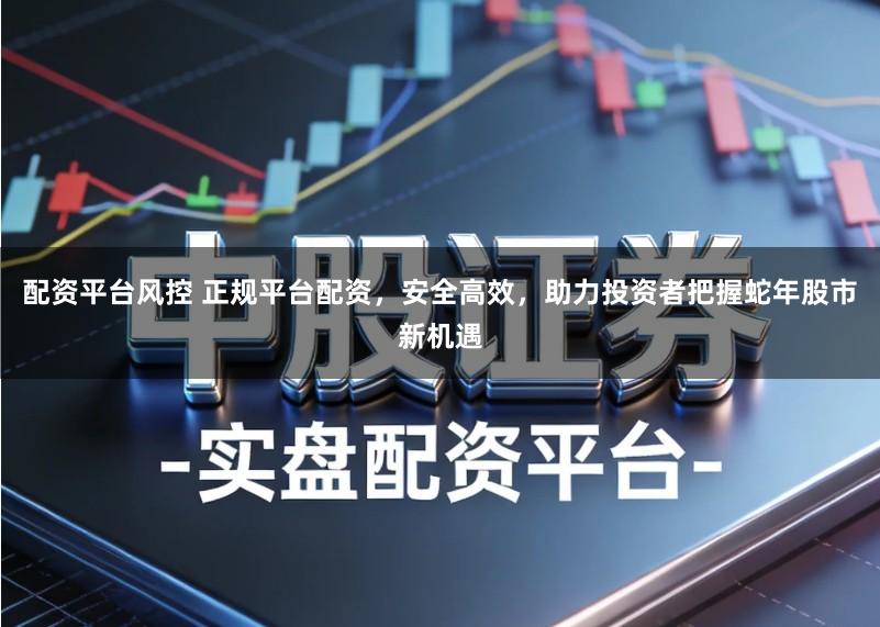 配资平台风控 正规平台配资,安全高效,助力投资者把握蛇年股市新机遇
