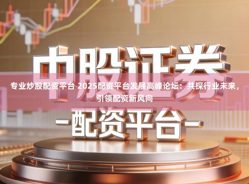 专业炒股配资平台 2025配资平台发展高峰论坛:共探行业未来,引领配资新风向