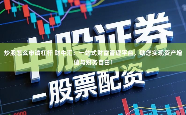 炒股怎么申请杠杆 财牛汇：一站式财富管理平台，助您实现资产增值与财务自由！