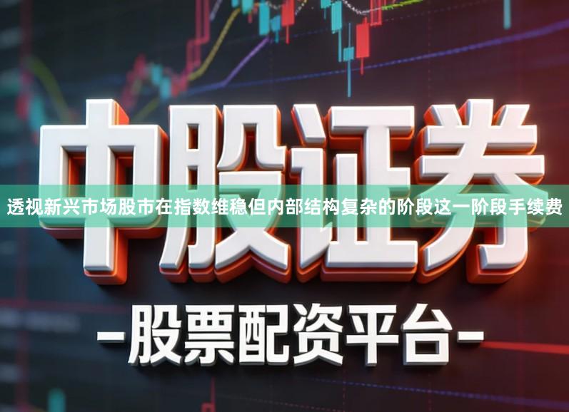 透视新兴市场股市在指数维稳但内部结构复杂的阶段这一阶段手续费