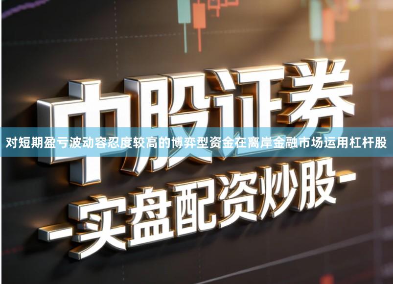 对短期盈亏波动容忍度较高的博弈型资金在离岸金融市场运用杠杆股